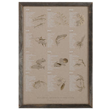 Load image into Gallery viewer, Seafood Seasonal Poster