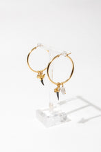 Load image into Gallery viewer, Martello Shark Hoops
